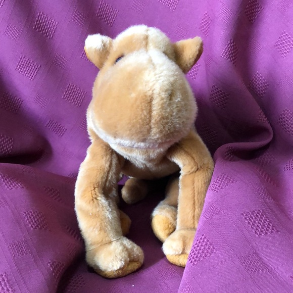 🛍️5/$20🛍️INCREDIBLE TY DROMADARY (camel with one hump) FROM 1998. - Picture 2 of 8